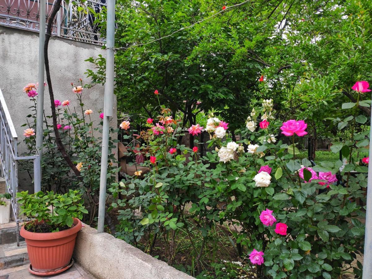 Guesthouse Ttt Tbilisi ภายนอก รูปภาพ