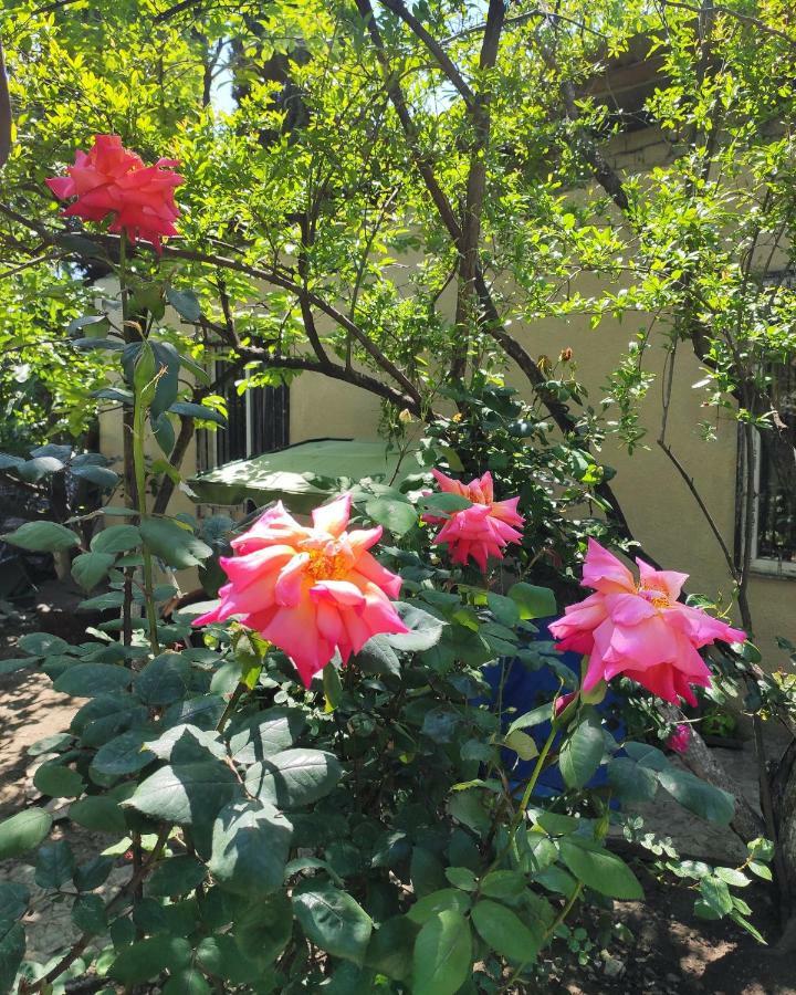 Guesthouse Ttt Tbilisi ภายนอก รูปภาพ
