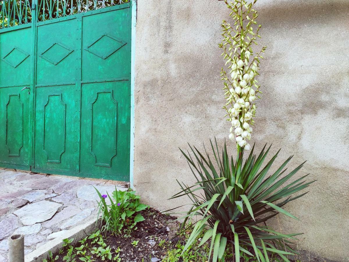 Guesthouse Ttt Tbilisi ภายนอก รูปภาพ